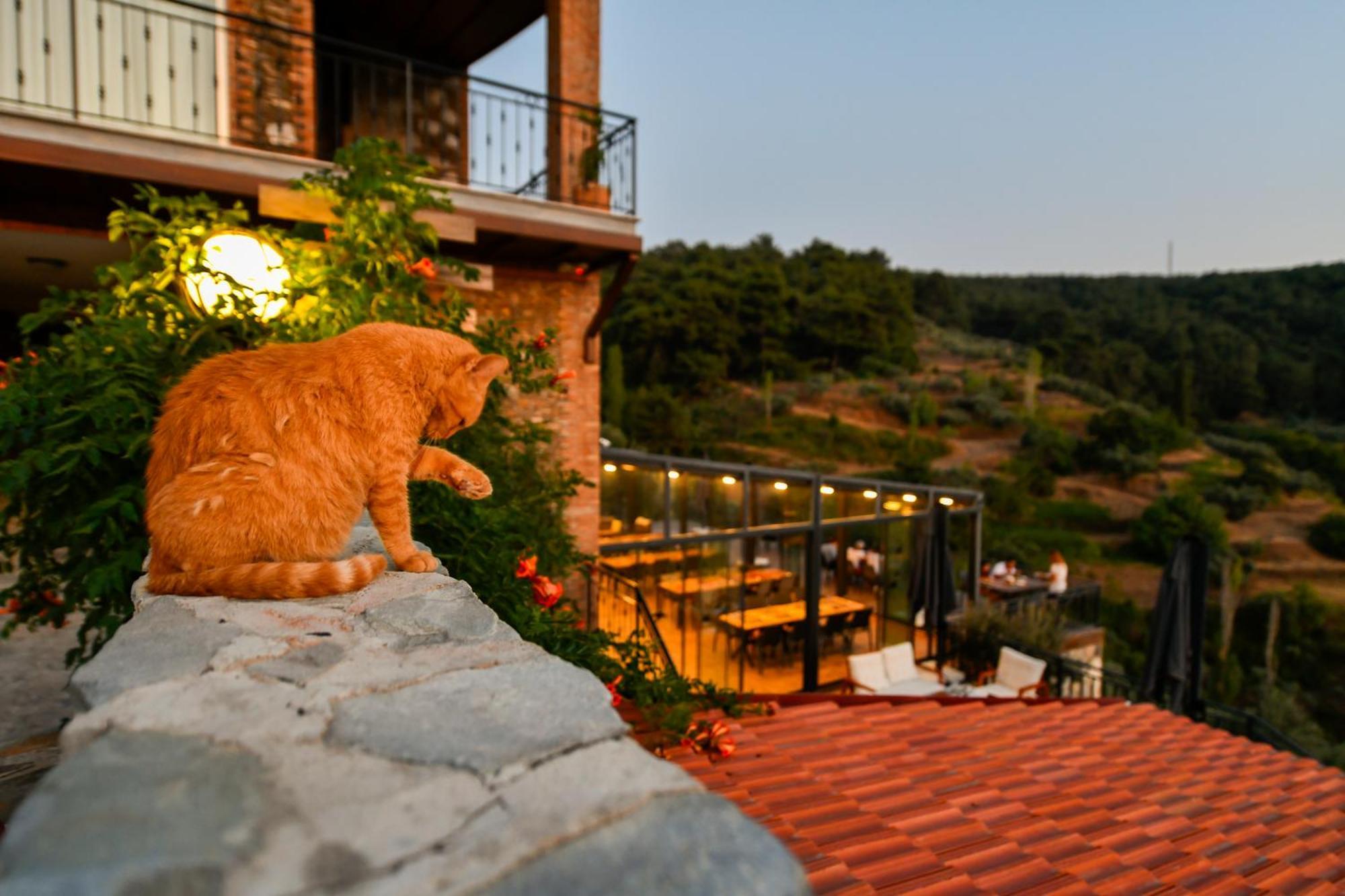 Ephesus Retreat Hotel อิซมีร์ ภายนอก รูปภาพ