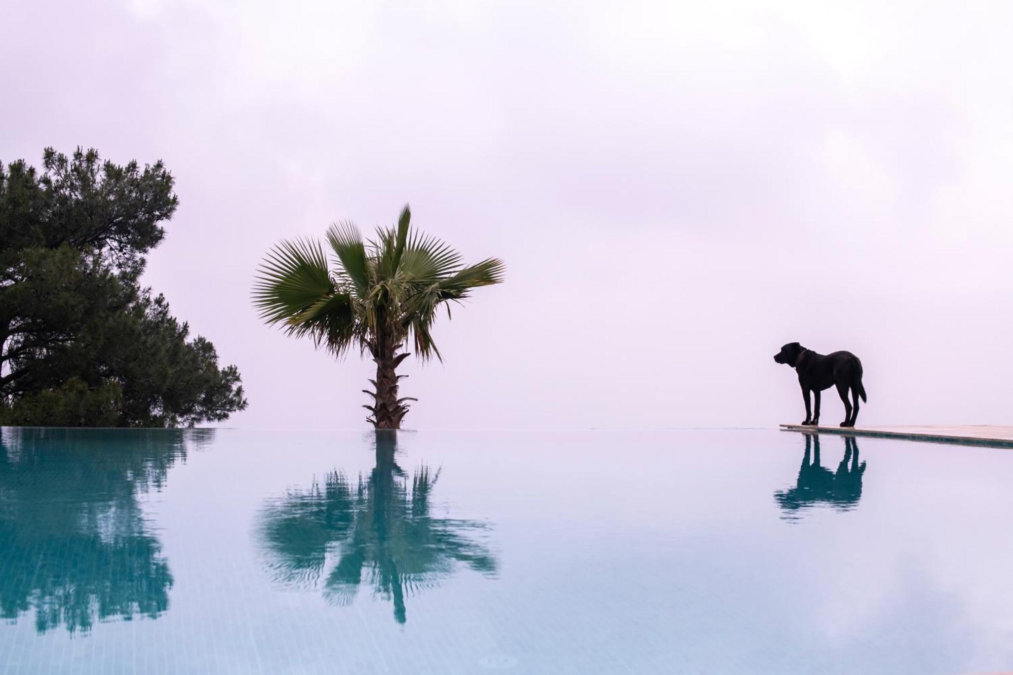Ephesus Retreat Hotel อิซมีร์ ภายนอก รูปภาพ